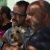 Desarollo olfattivo 2016
